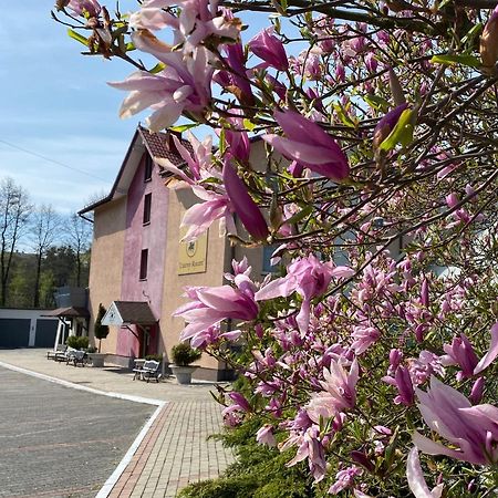 Aparthotel Obiekt "Czarny Rycerz" Jastrzębie Zdrój Exteriér fotografie