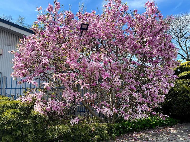 Aparthotel Obiekt "Czarny Rycerz" Jastrzębie Zdrój Exteriér fotografie